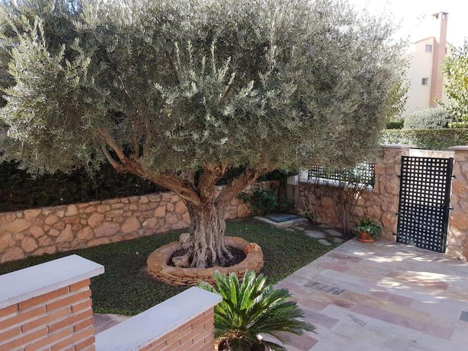 Chalet & Piscina-Jardin-Barbacoa Murcia Esterno foto